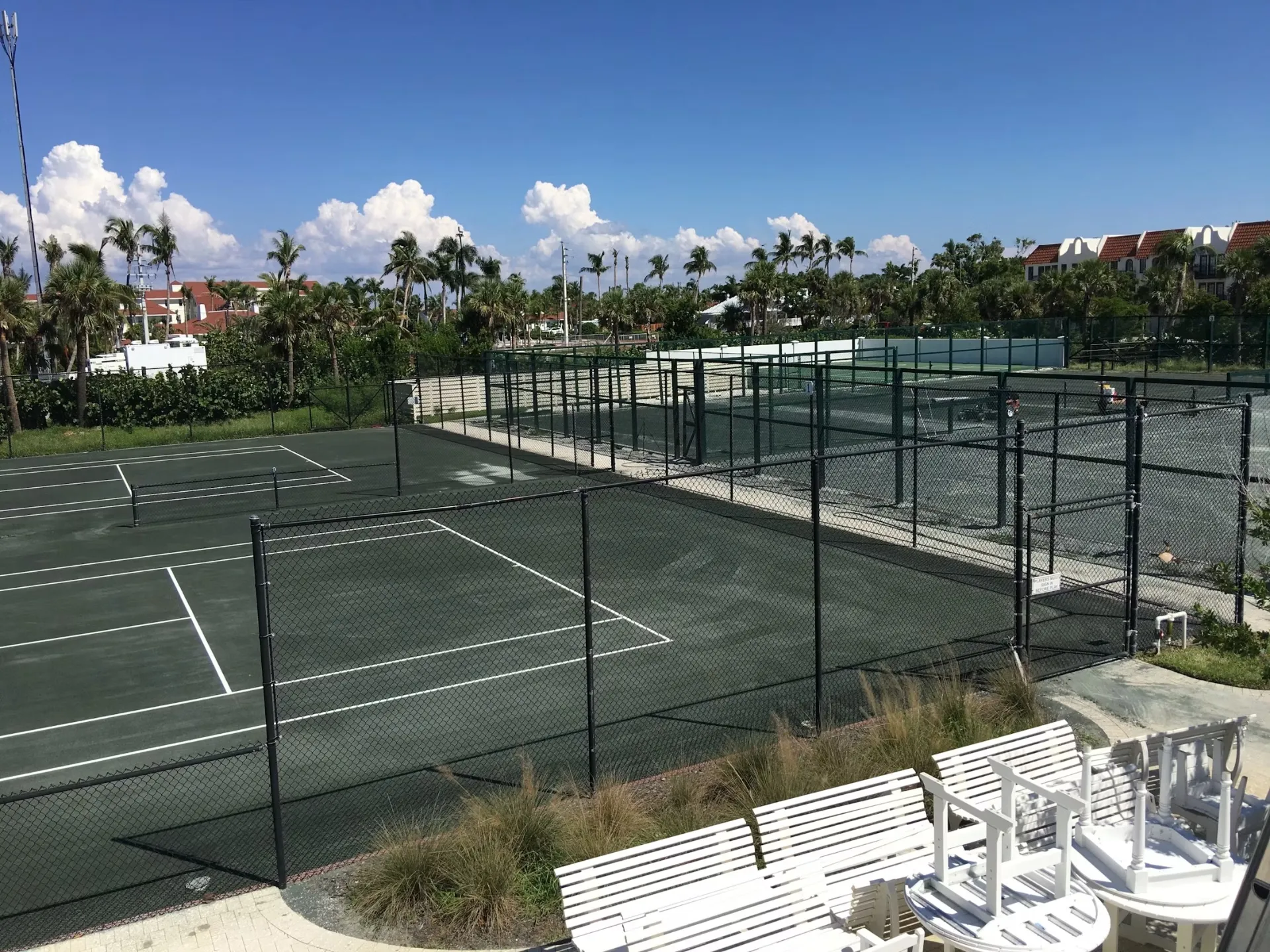 Clay tennis courts with dark green surfaces, perimeter fencing, and palm trees.