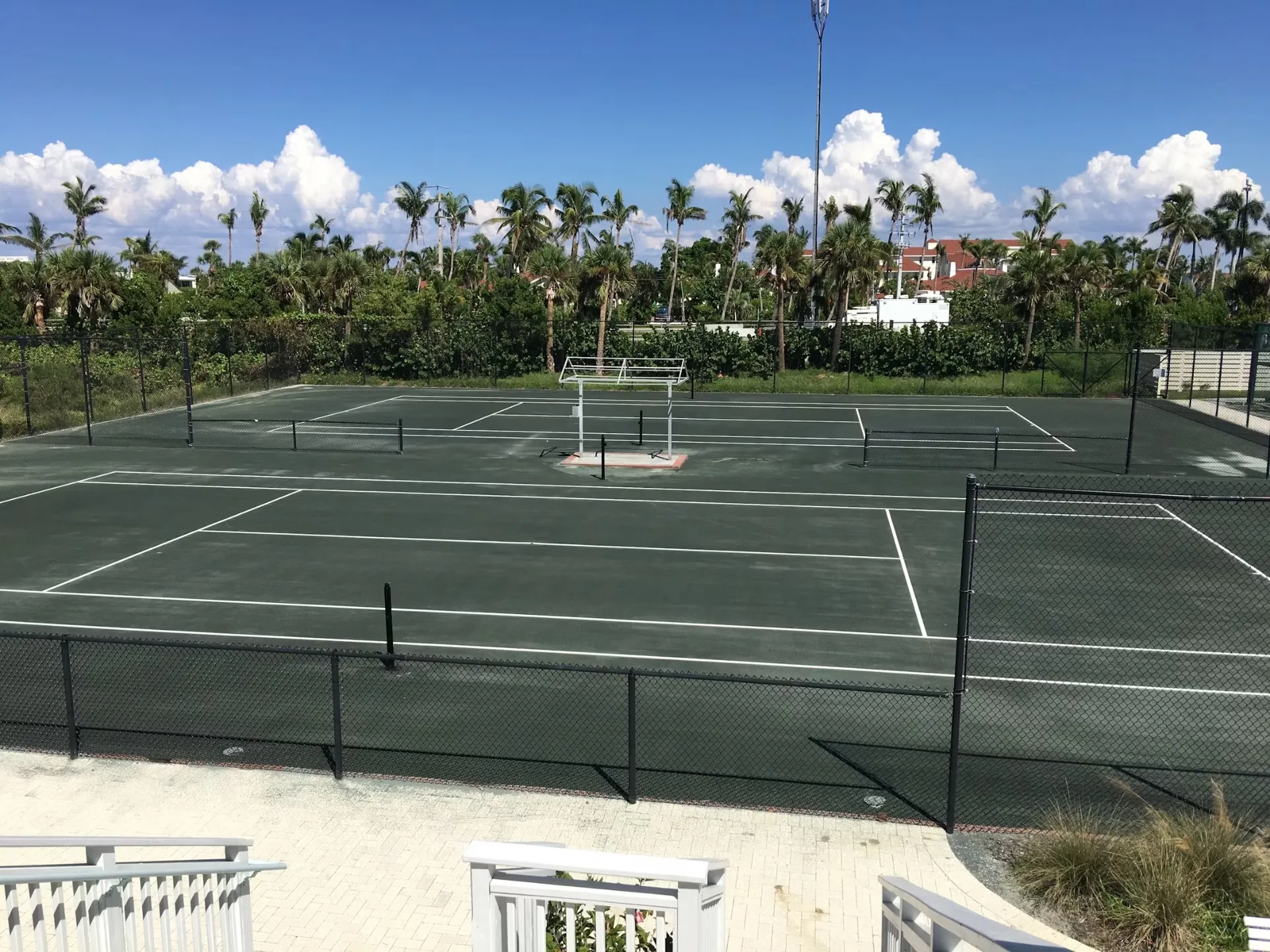 Outdoor clay tennis courts with white lines, nets, and palm trees beyond the fence.